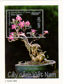 773Bloc.jpg (36152 bytes)