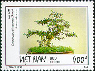 773b.jpg (26876 bytes)