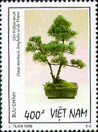 773c.jpg (23397 bytes)