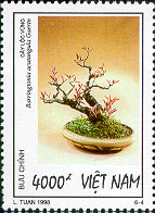 773d.jpg (25713 bytes)