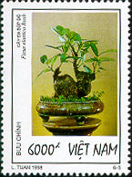 773e.jpg (26182 bytes)