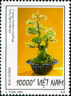 773f.jpg (25524 bytes)