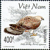 776a.jpg (27440 bytes)