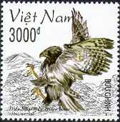 776d.jpg (29288 bytes)