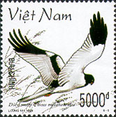 776e.jpg (26508 bytes)