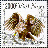 776f.jpg (33164 bytes)